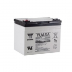Аккумулятор YUASA REC36-12I-2020